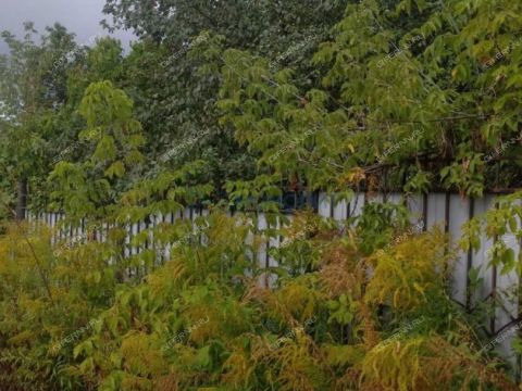 nizhegorodskiy-rayon фото