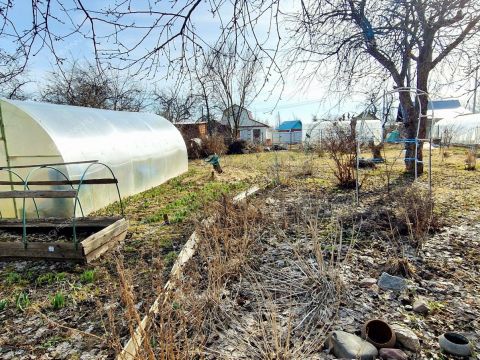 dacha-selo-bolshaya-elnya-kstovskiy-rayon фото