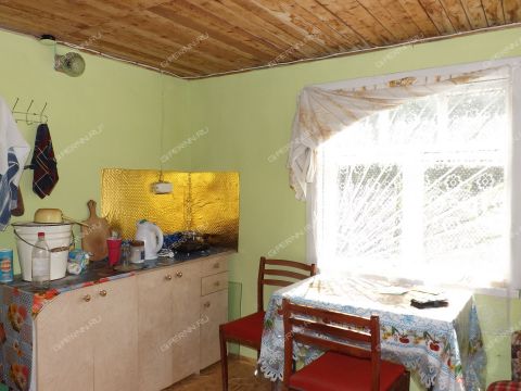 dom-gorod-bor-gorodskoy-okrug-bor фото