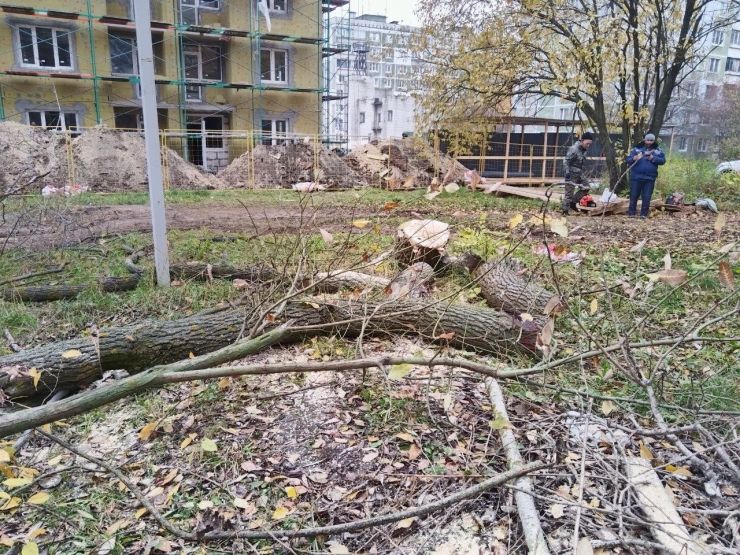 Фото предоставлено в распоряжение редакции GIPERNN.RU