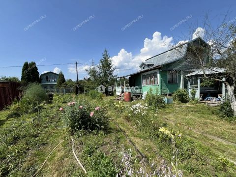 dacha-141 фото