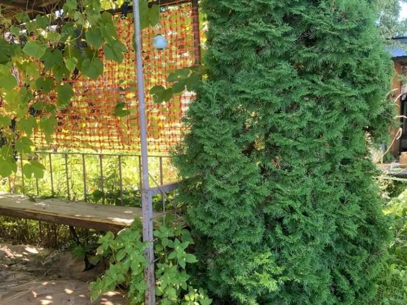 дача на СНТ Кристалл рабочий посёлок Дальнее Константиново