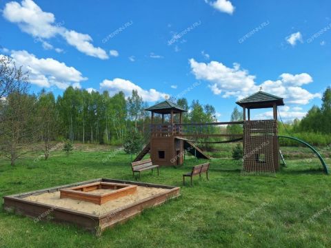 dom-derevnya-vatoma-gorodskoy-okrug-bor фото