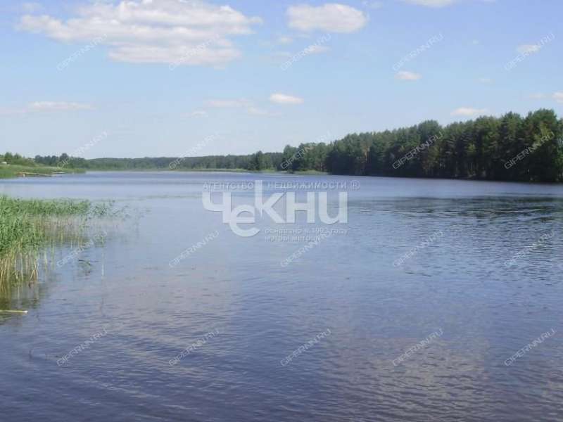 дом на улице Центральная деревня Молчаново