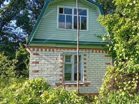 dacha фото