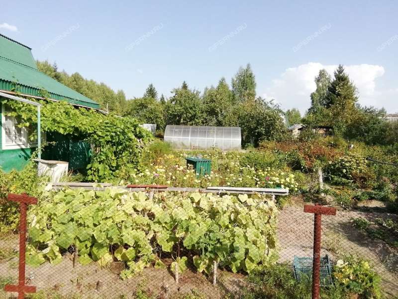 дом на СНТ Геолог посёлок при станции Осинки