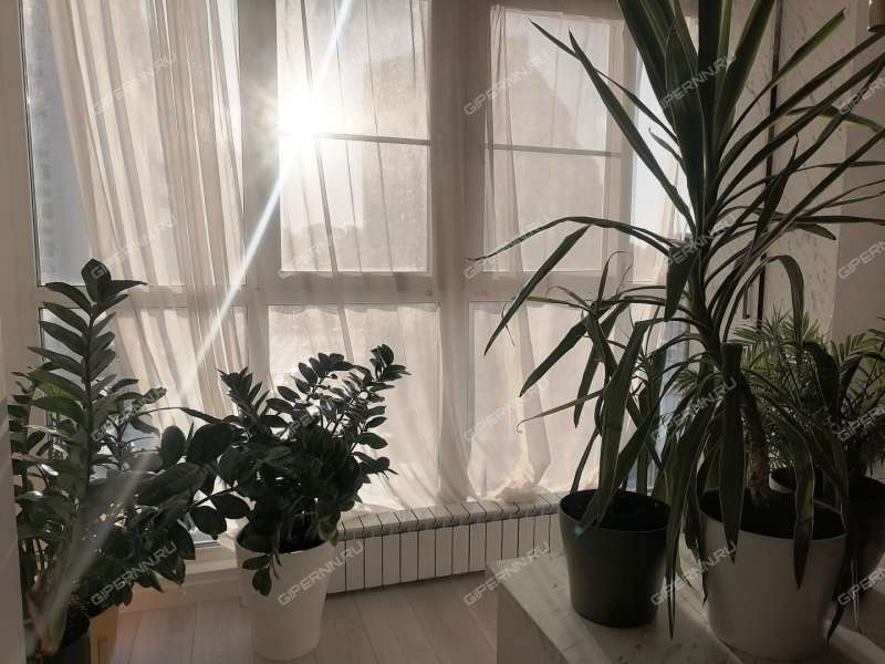 двухкомнатная квартира на улице Родионова дом 193 к5