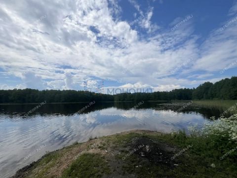dom-derevnya-putkovo-gorodskoy-okrug-bor фото
