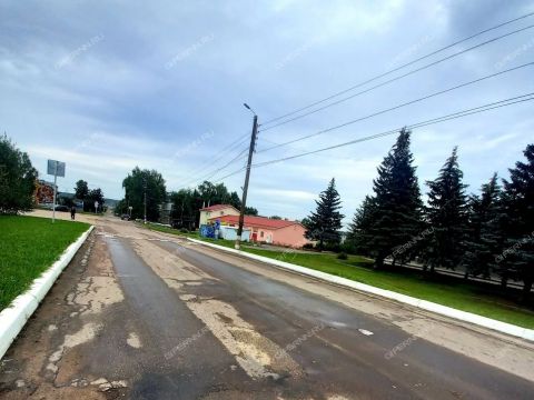 2-komnatnaya-derevnya-prokoshevo-kstovskiy-rayon фото