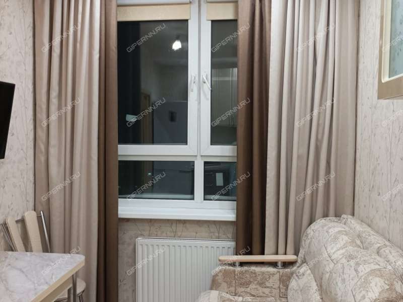 однокомнатная квартира на проспекте Гагарина дом 99 к1