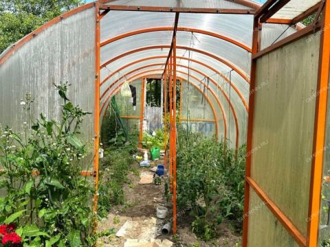 dacha-snt-druzhba-snt-druzhba фото