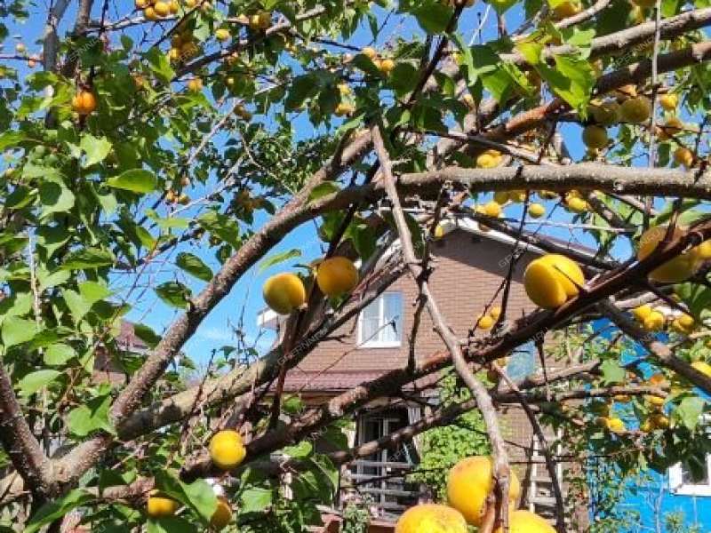 дом на улице Янтарная деревня Черемисское