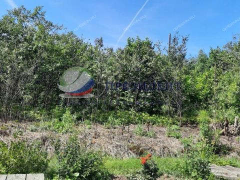 derevnya-korobeynikovo-gorodeckiy-rayon фото