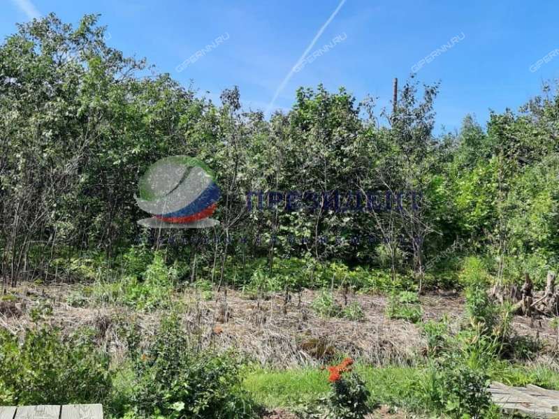 земельный участок 11,6 сотки деревня Коробейниково