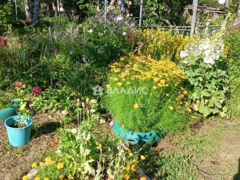 dacha-sadovodcheskoe-nekommercheskoe-tovarishhestvo-turist-bogorodskiy-municipalnyy-okrug фото