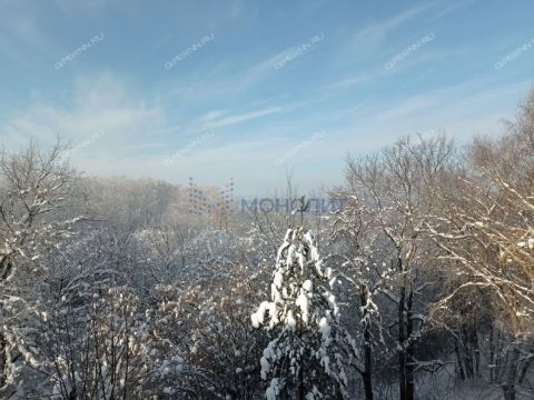 2-komnatnaya-gorod-pavlovo-pavlovskiy-municipalnyy-okrug фото