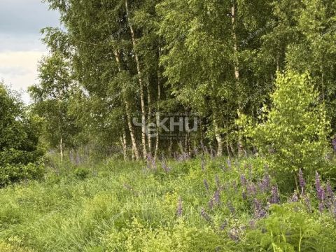 derevnya-kuzhutki-dalnekonstantinovskiy-rayon фото