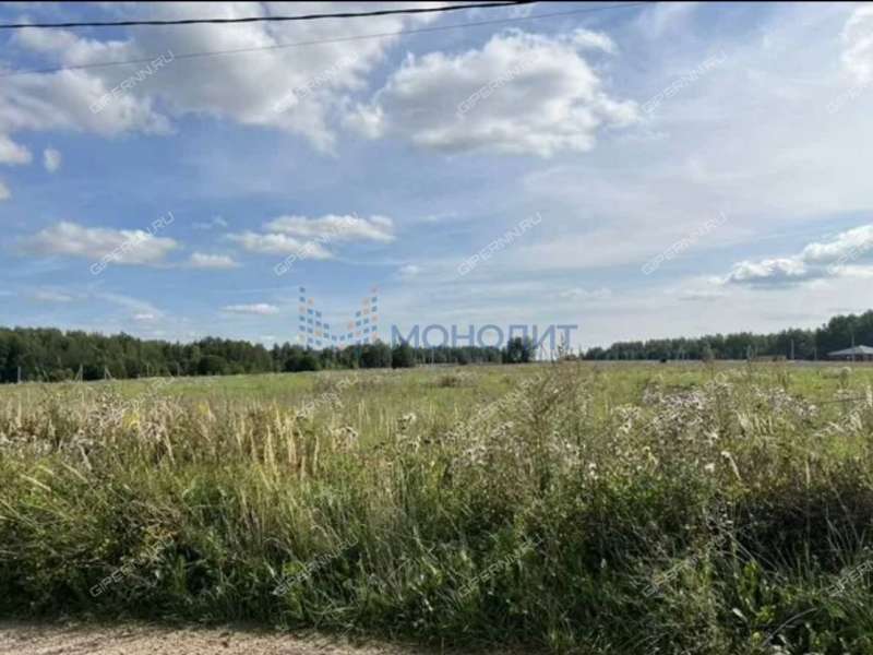 земельный участок 978 соток деревня Бугры