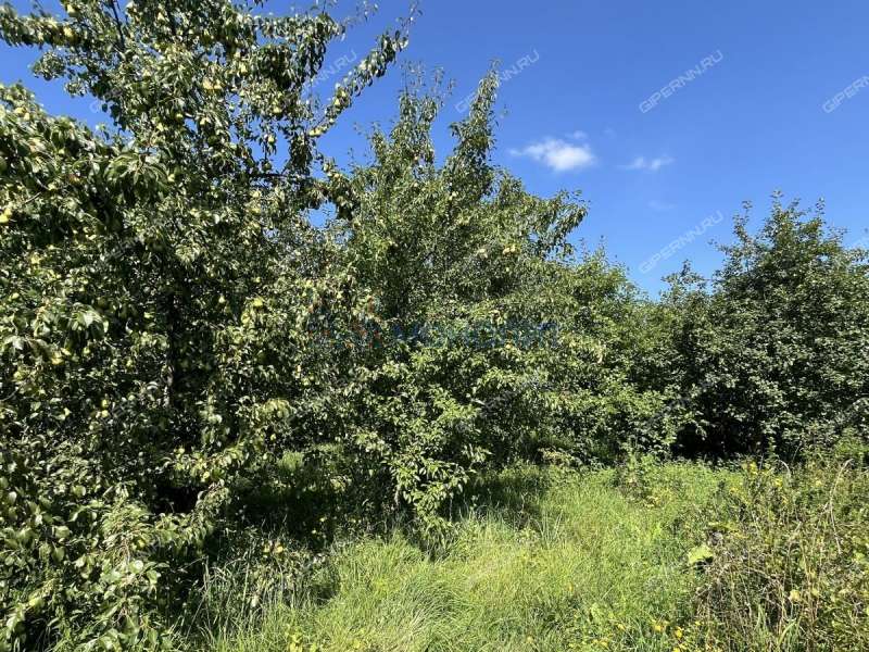 дом на Центральной улице село Настино