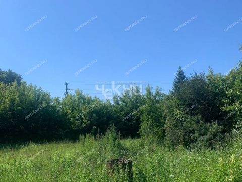 derevnya-kvasovo-gorodskoy-okrug-bor фото