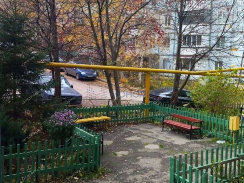 трёхкомнатная квартира на Зелёной улице дом 67 деревня Афонино