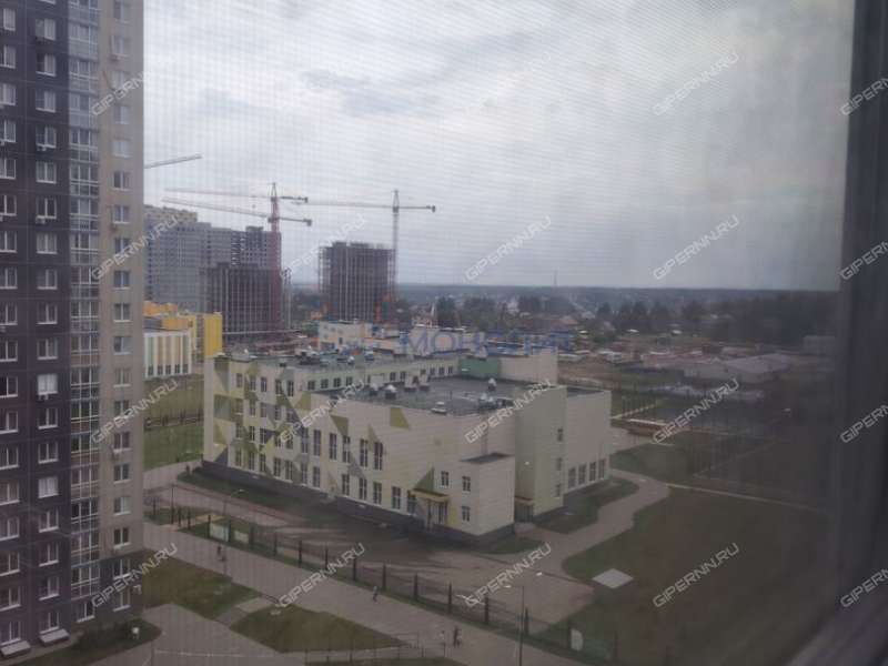 трёхкомнатная квартира на Русской улице улице дом 9 деревня Анкудиновка