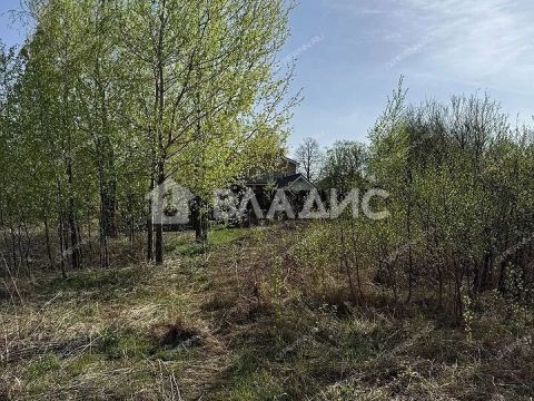 derevnya-ankudinovka-kstovskiy-rayon фото