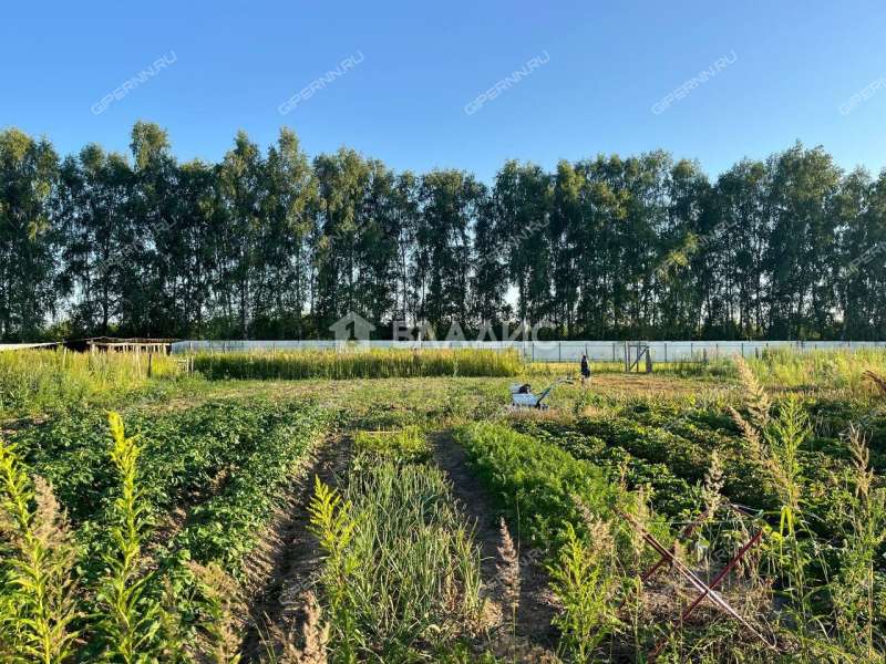 дом на улице Никиты Демидова территория Заветные Истоки