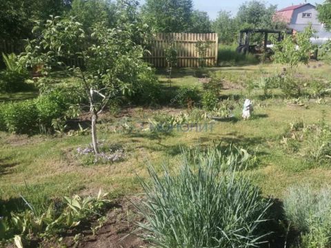 dacha-leninec-8-derevnya-hmelevaya-polyana-ter-snt-dalnekonstantinovskiy-rayon фото