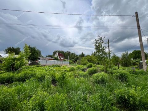 derevnya-zabore-gorodskoy-okrug-bor фото