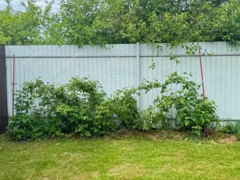 дом в Цветочном переулке город Богородск