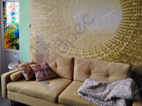 1-komnatnaya-derevnya-afonino-kstovskiy-rayon фото