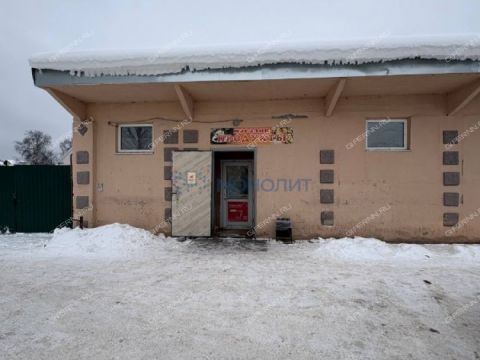 3-komnatnaya-rabochiy-poselok-bolshoe-kozino-balahninskiy-municipalnyy-okrug фото