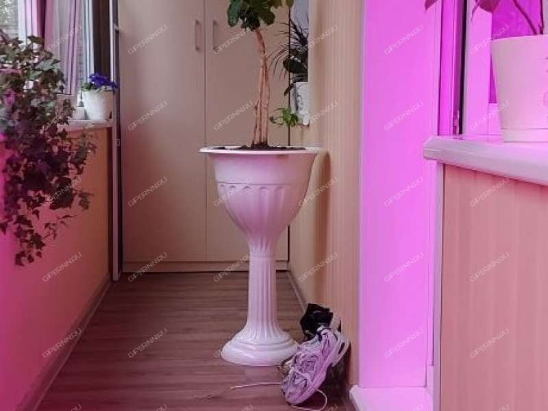 двухкомнатная квартира на Мончегорской улице дом 17а к3