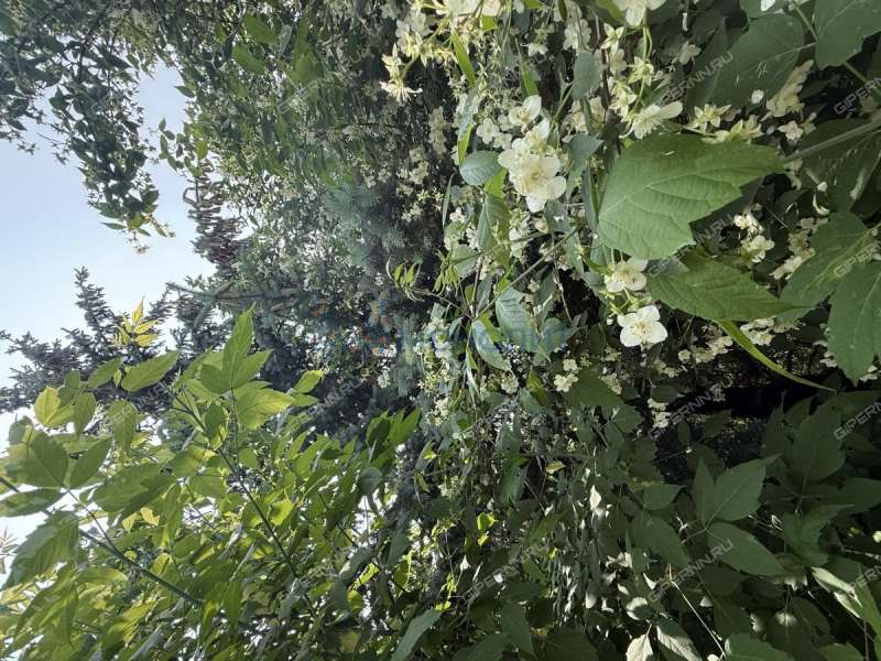 земельный участок 7,34 сотки Нижне-Валдайская улица