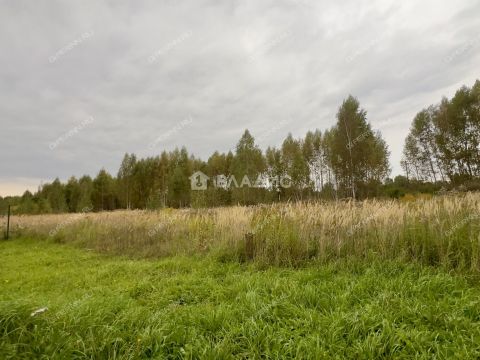 dom-gorod-bor-gorodskoy-okrug-bor фото