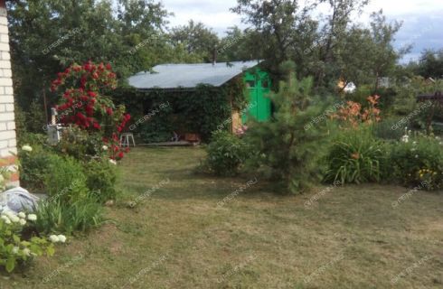 Купить Дачу В Нижнем Новгороде Надежда