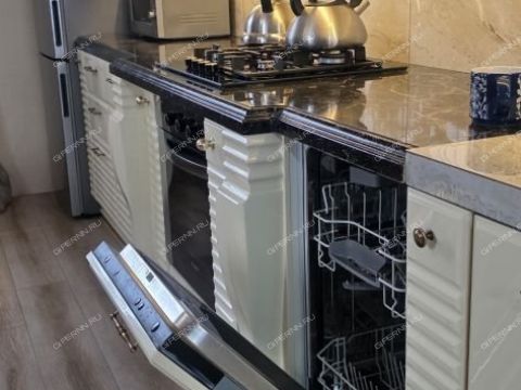 kottedzh-derevnya-berezovka-bogorodskiy-municipalnyy-okrug фото