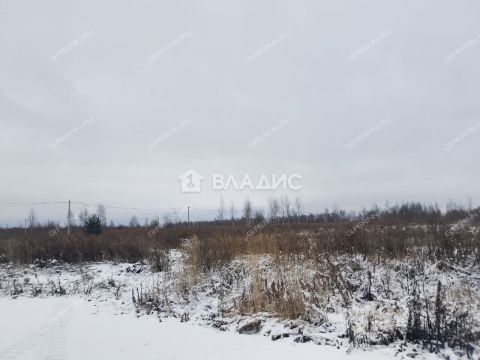 selo-bezvodnoe-kstovskiy-rayon фото