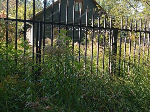 dacha-d-o-zelenyy-gorod-poselok фото