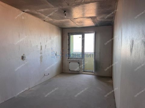 1-komnatnaya-derevnya-afonino-kstovskiy-rayon фото