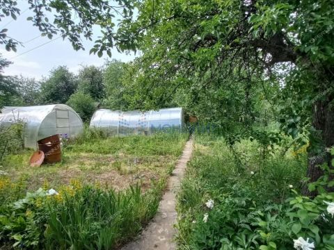 dacha фото
