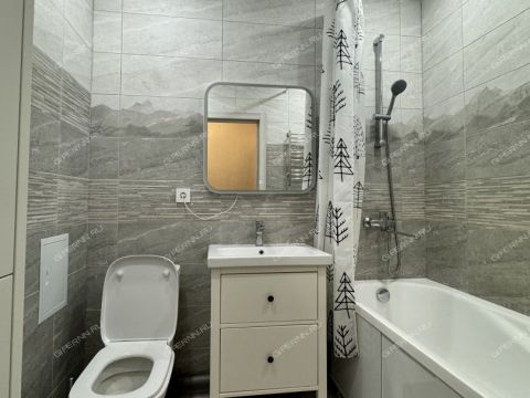 1-komnatnaya-derevnya-afonino-kstovskiy-rayon фото