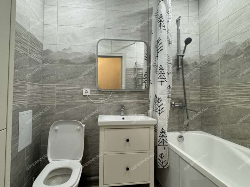 однокомнатная квартира на улице Красная Поляна дом 4 деревня Афонино