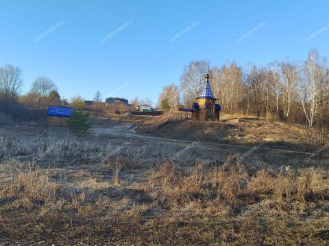 selo-borisovo-pole-vadskiy-municipalnyy-okrug фото