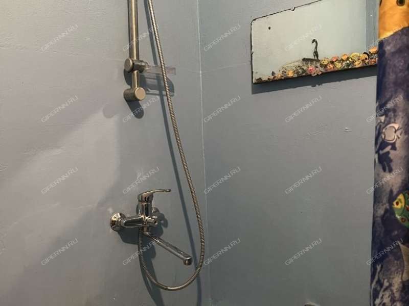 однокомнатная квартира на Школьной улице дом 51 посёлок Ждановский