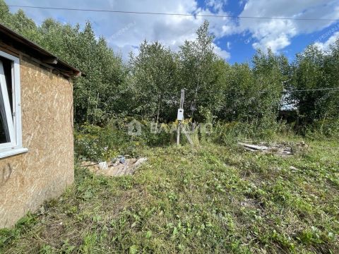 derevnya-shumilovo-bogorodskiy-municipalnyy-okrug фото