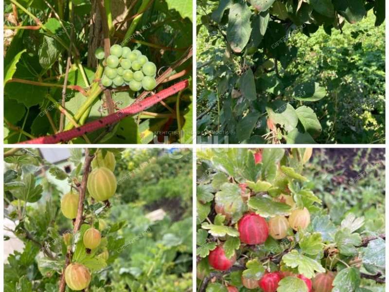 дом на Ново Луговая рабочий посёлок Большое Мурашкино