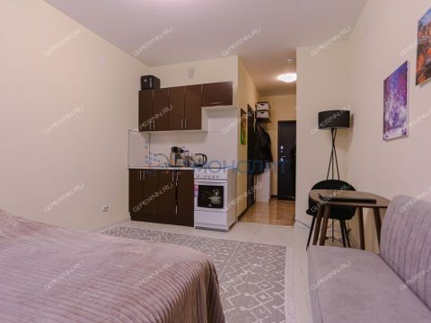 kvartira-studiya-derevnya-ankudinovka-kstovskiy-rayon фото