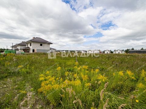 derevnya-prudy-bogorodskiy-municipalnyy-okrug фото